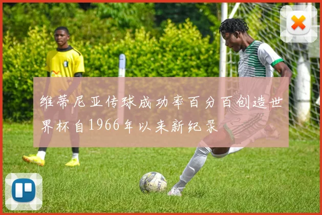 维蒂尼亚传球成功率百分百创造世界杯自1966年以来新纪录